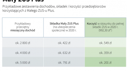 mały zus plus